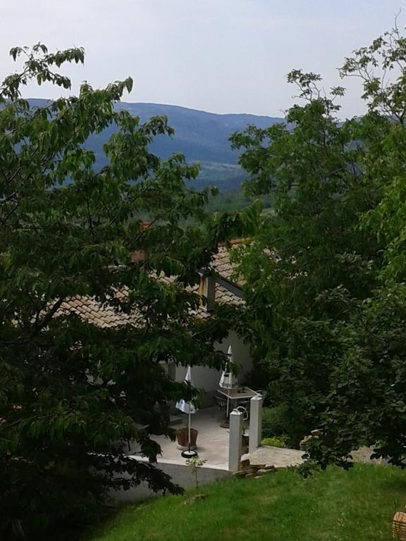 Apartment Bella Vista 2 Buzet Bagian luar foto