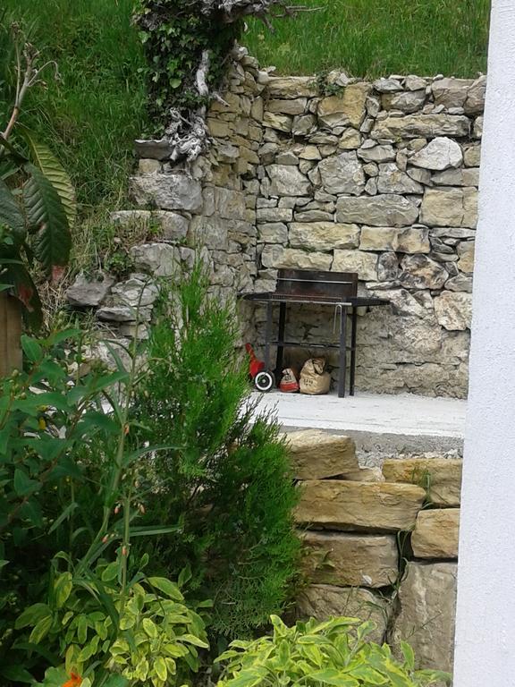 Apartment Bella Vista 2 Buzet Bagian luar foto
